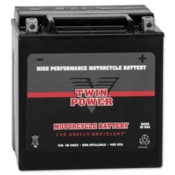 Twin Power Maintenance Free AGM Battery