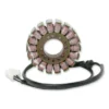 Rick's Motorsport Electrics, Inc. Stator