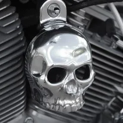 Chrome Dome Polished 3-D Skull With Cut Out Eyes Horn Cover