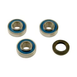 ALL BALLS Racing Wheel Bearing And Seal Kit