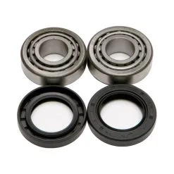 ALL BALLS Racing Wheel Bearing And Seal Kit