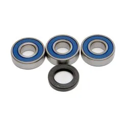 ALL BALLS Racing Wheel Bearing And Seal Kit