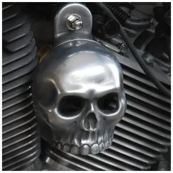Chrome Dome Aged Aluminum Skull Horn Cover