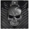 Chrome Dome Satin Black Evil Twin Skull Horn Cover