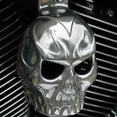Chrome Dome Polished Evil Twin Skull Horn Cover