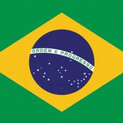 Rumbling Pride Brazil Flag