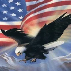 Rumbling Pride Eagle America Flag