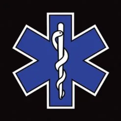 Rumbling Pride Star Of Life Flag