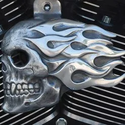 Chrome Dome Aged Aluminum Flaming Skull Horn Cover