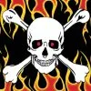Rumbling Pride Skull And Crossbones 6″ X 9″ Flag