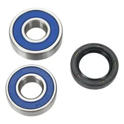 ALL BALLS Racing Rear Wheel Bearing And Seal Kit